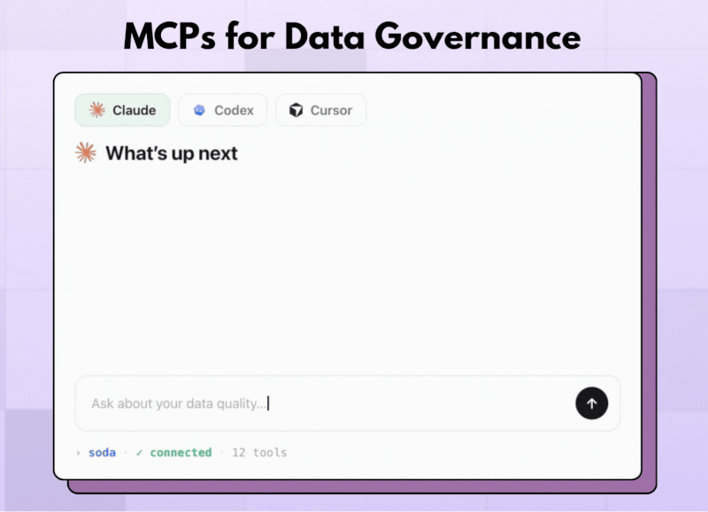 MCPs and data governance